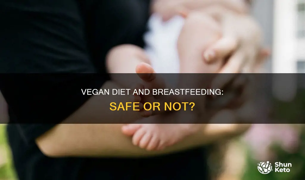 is a vegan diet safe while breastfeeding