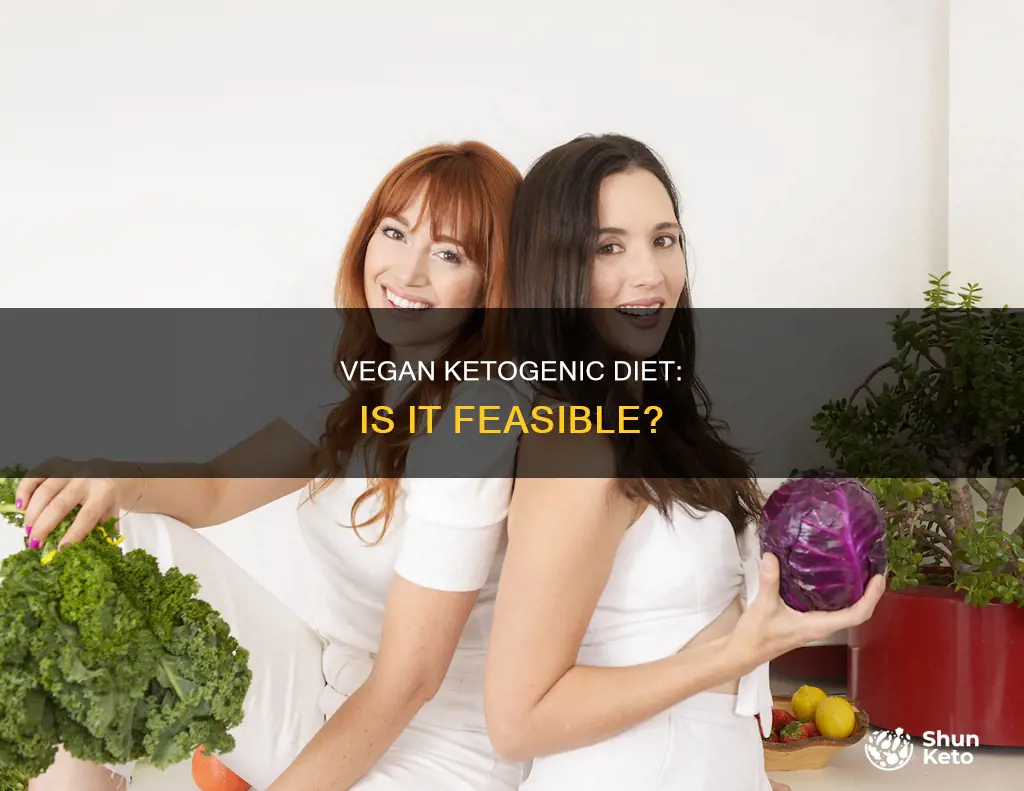 is a vegan ketogenic diet possible