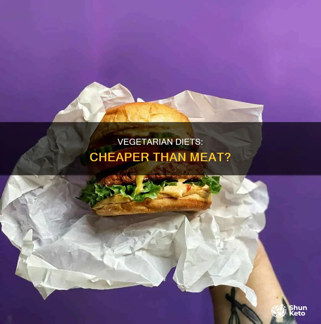 is a vegetarian diet cheaper than meat