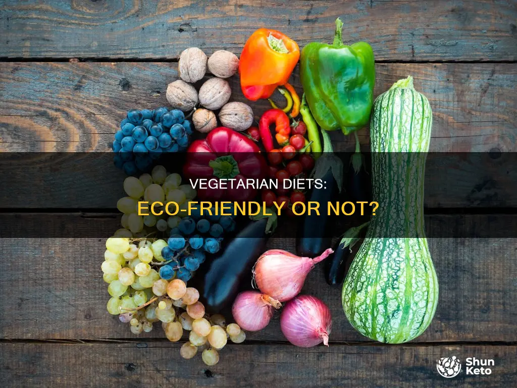 is a vegetarian diet environmentally friendly