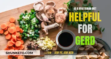 Vegetarian Diets: A Solution for GERD?