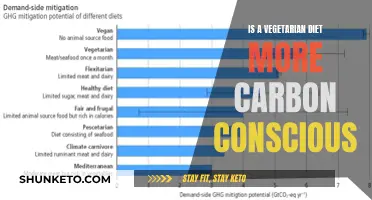 Vegetarian Diets: Carbon-Conscious Eating?