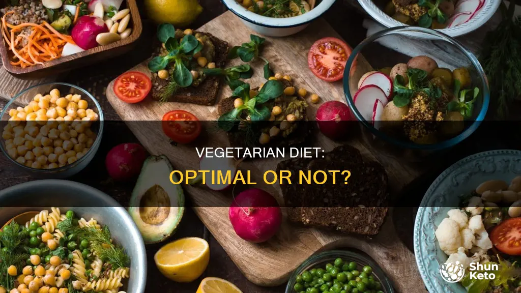 is a vegetarian diet optimal