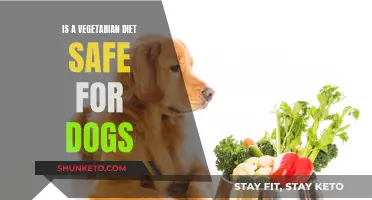 Vegetarian Diets: Safe or Risky for Dogs?