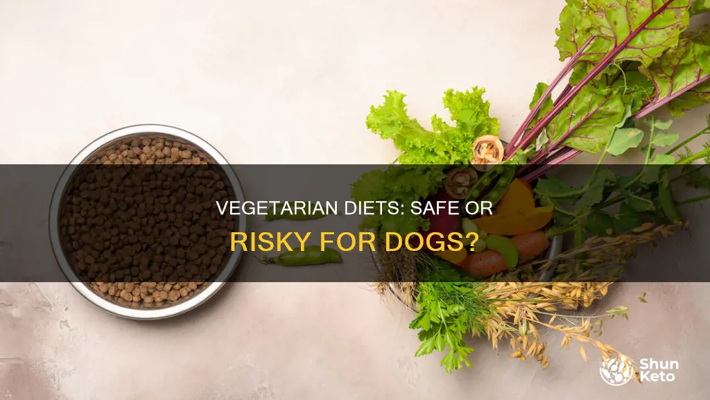 is a vegetarian diet safe for dogs