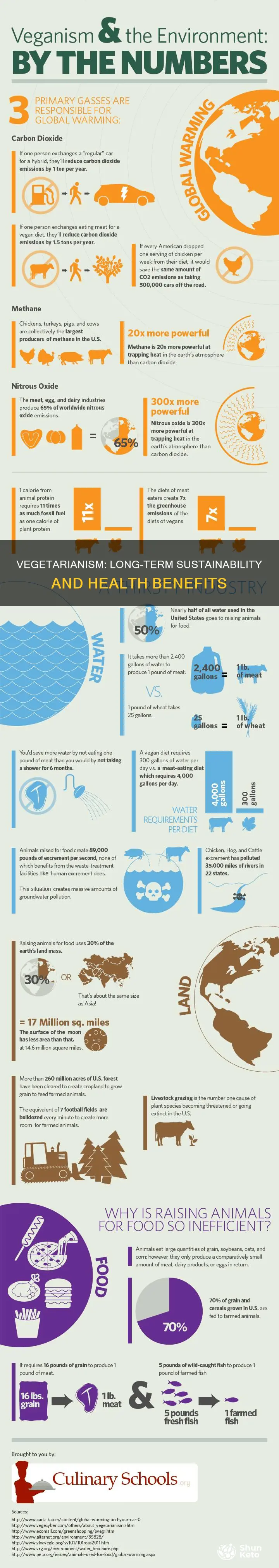 is a vegetarian diet sustainable long term