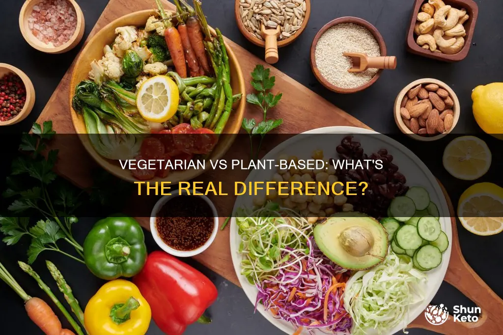 is a vegeterian diet the same as plant based