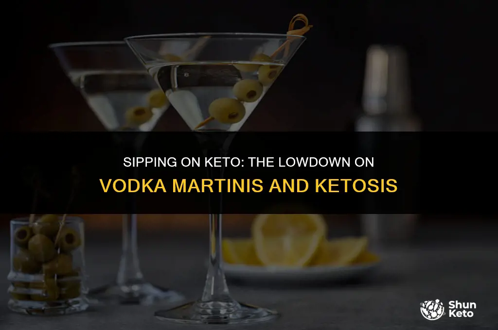 is a vodka martini keto
