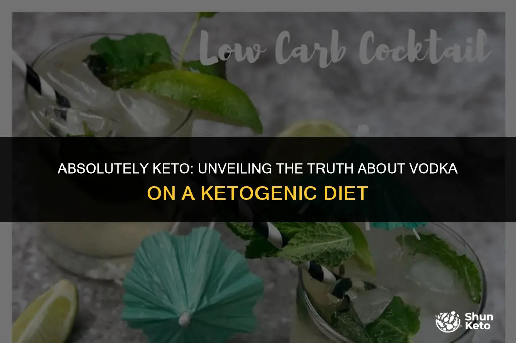 is absolut a keto vodka
