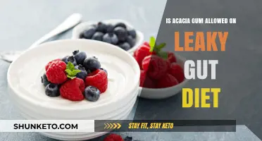 Acacia Gum: A Leaky Gut Diet Solution?
