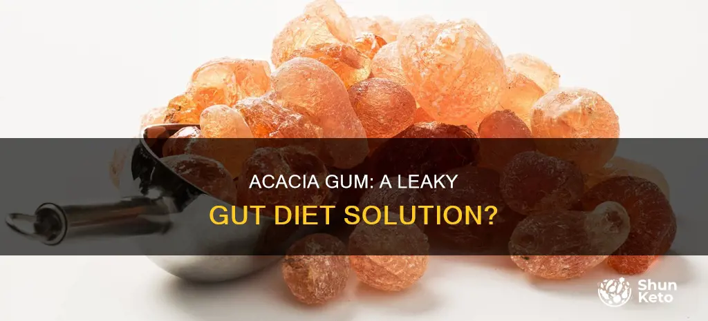 is acacia gum allowed on leaky gut diet