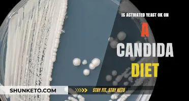 Activated Yeast and Candida Diet: What's the Verdict?