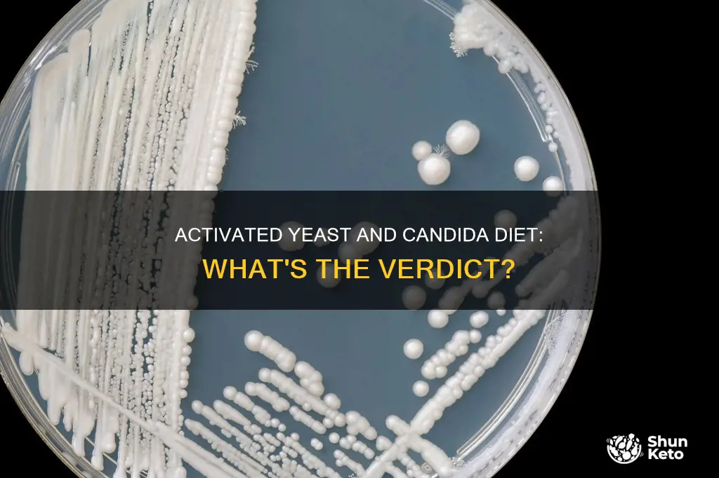 is activated yeast ok on a candida diet