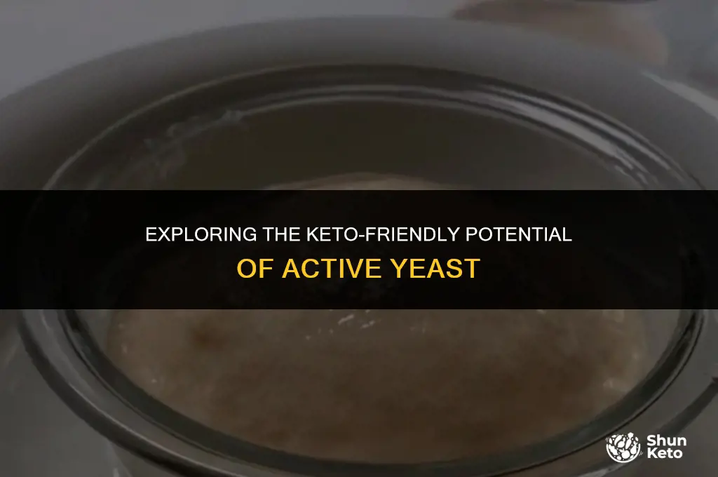 is active yeast keto