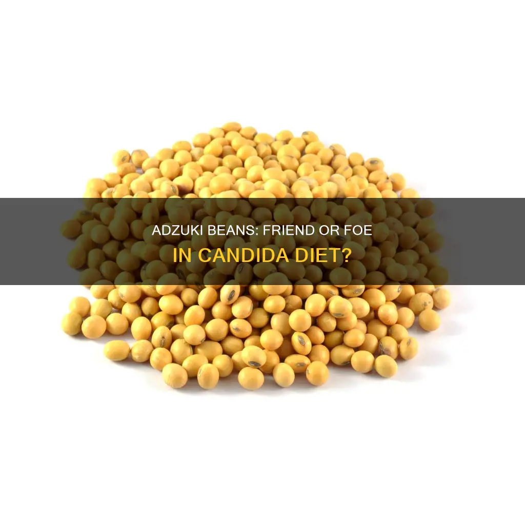 is adzudki beans ok for a candida diet