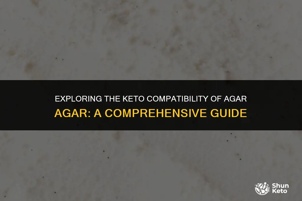 is agar agar keto freindly