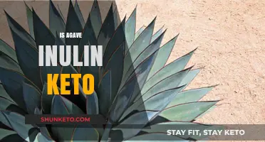 Exploring the Keto-Friendly Benefits of Agave Inulin