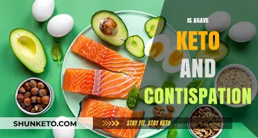 Exploring Agave's Keto Compatibility and Its Impact on Digestion