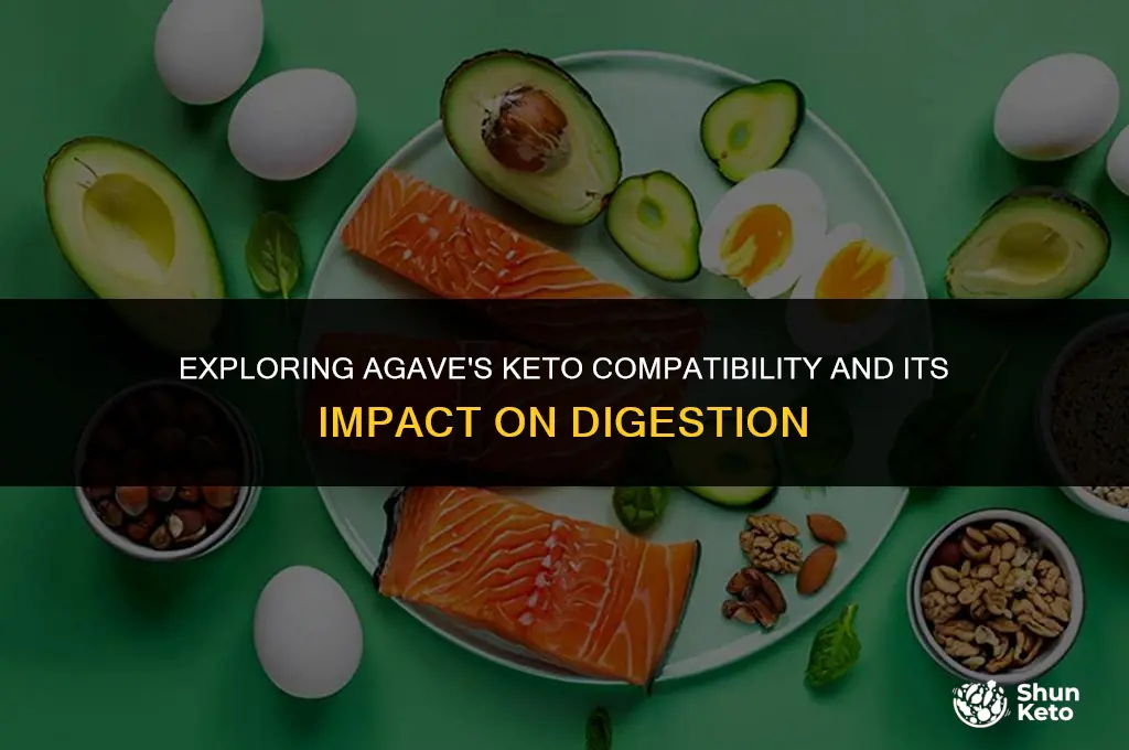 is agave keto and contispation