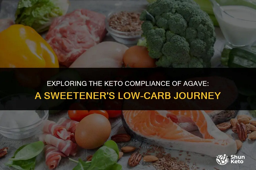 is agave keto compliant