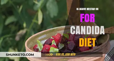 Agave Nectar: Friend or Foe to Candida Diet?