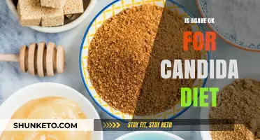 Agave and Candida Diet: What's the Connection?