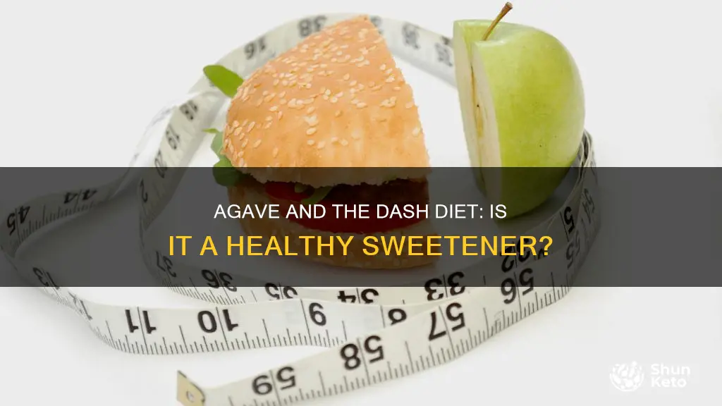 is agave ok for dash diet