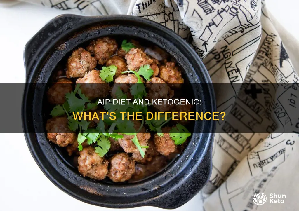 is aip diet ketogenic