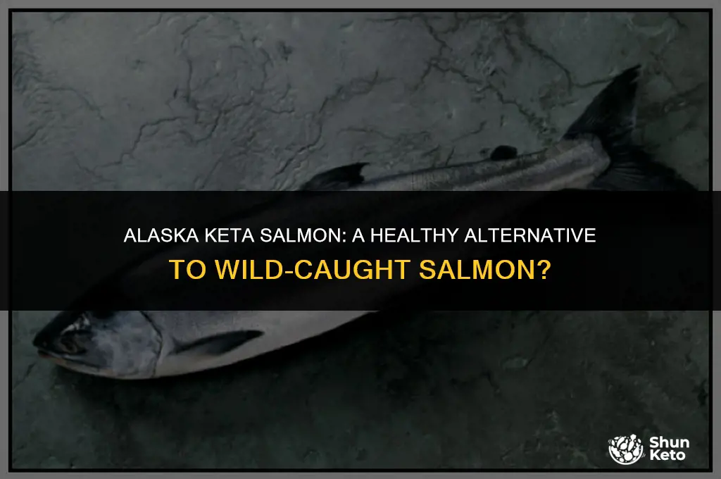 is alaska keta salmon healthy as wild caught salmon