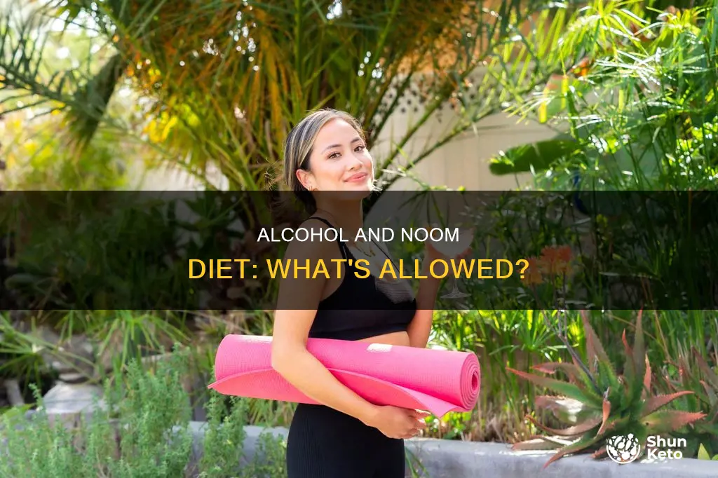 is alcohol allowed on the noom diet