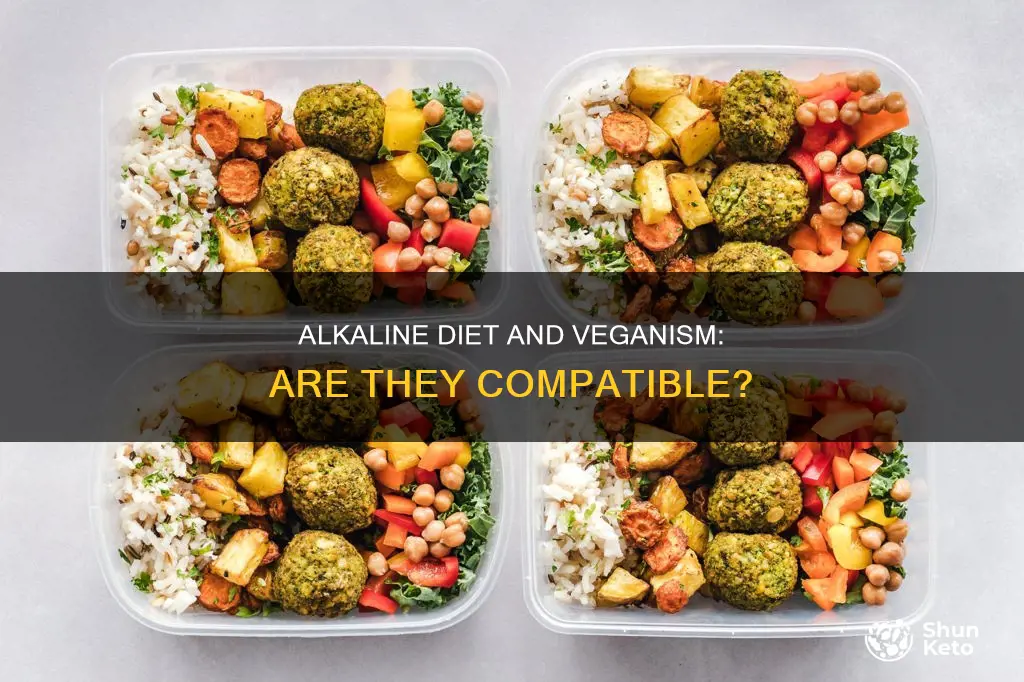 is alkaline diet vegan