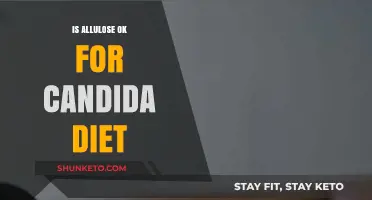 Allulose and Candida Diet: What's the Connection?