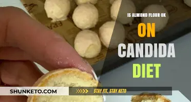 Almond Flour and Candida Diet: Is It Safe?