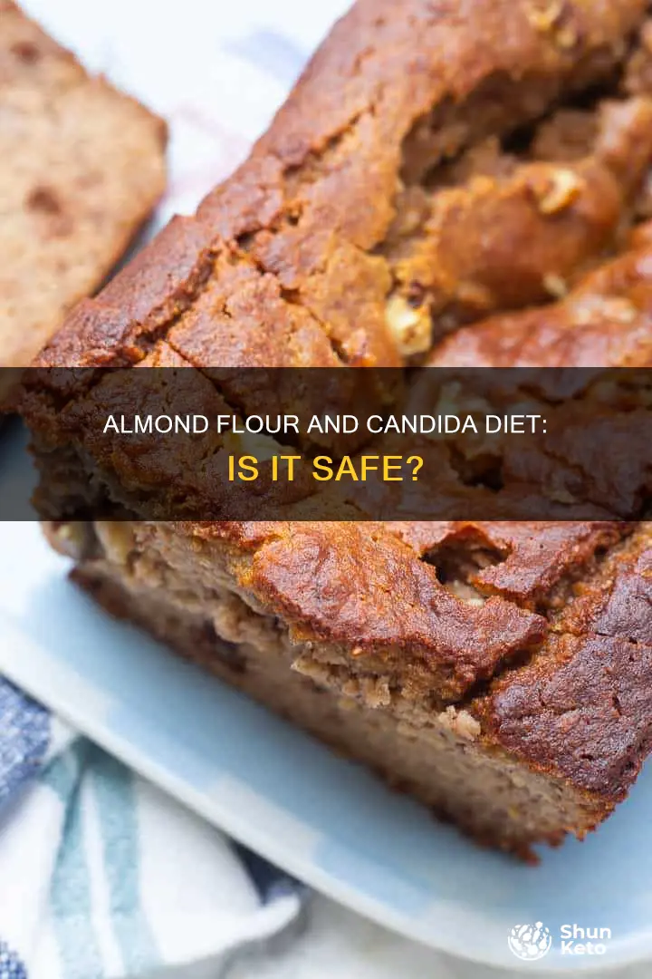 is almond flour ok on candida diet