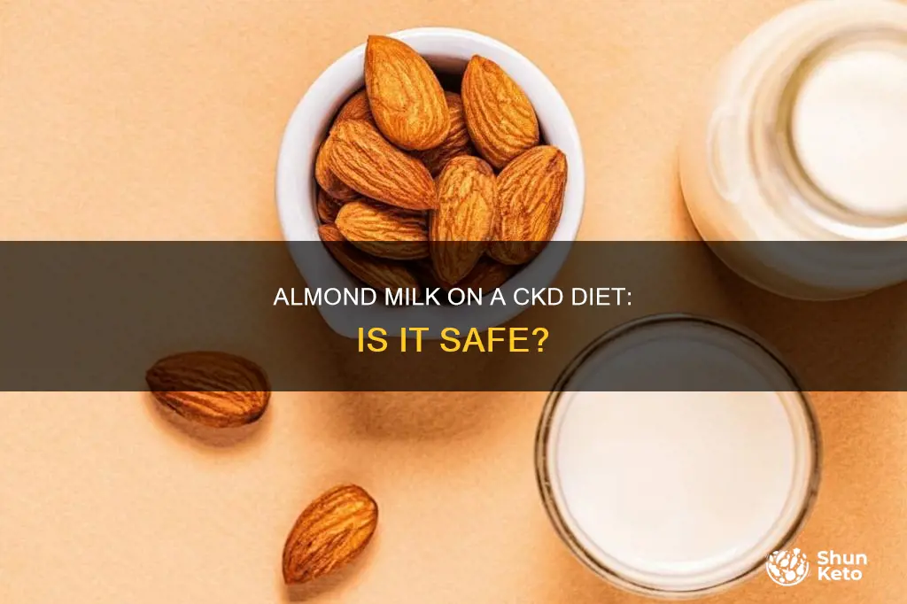 is almond milk allowed on a ckd diet
