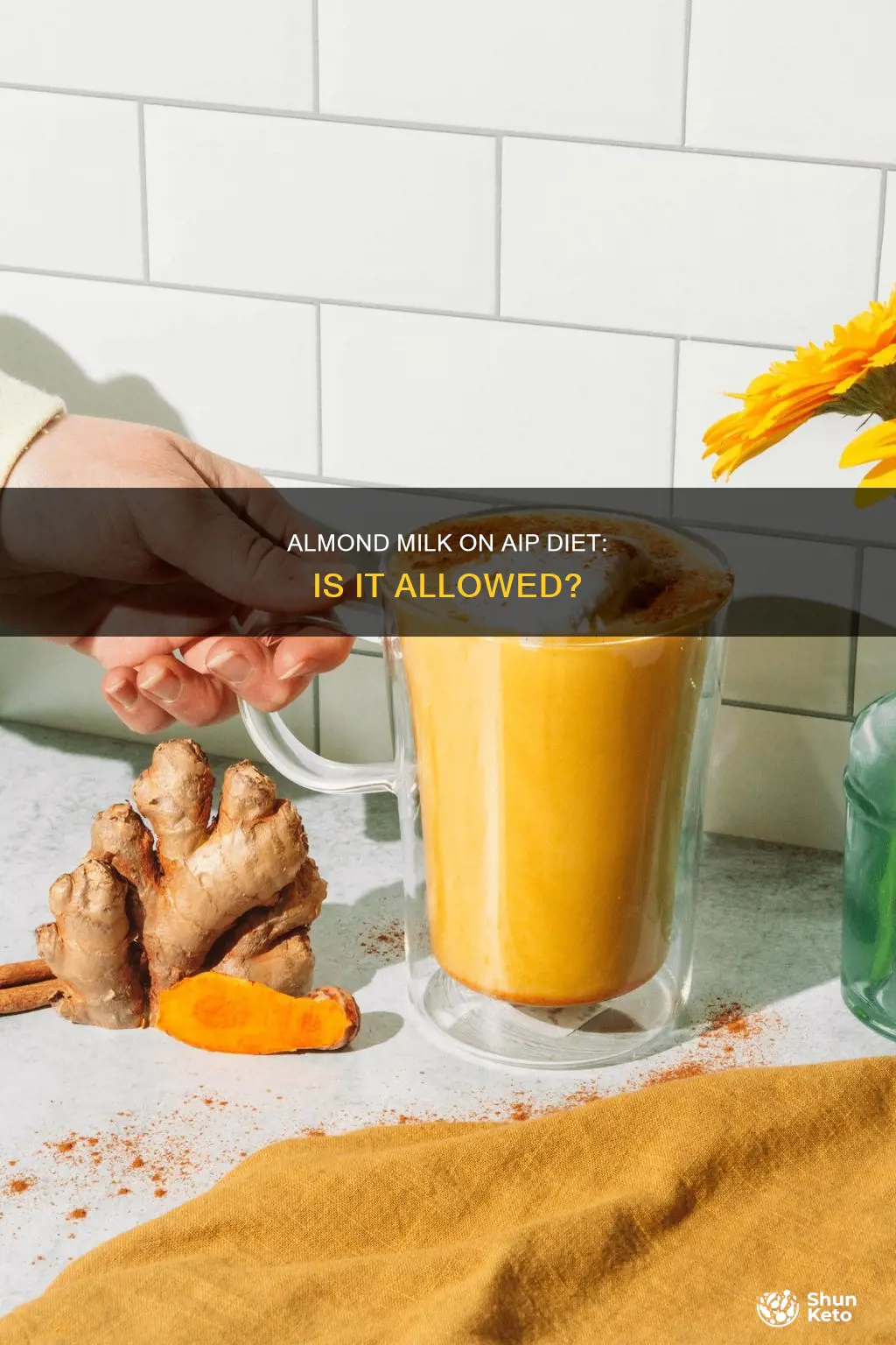 is almond milk allowed on aip diet