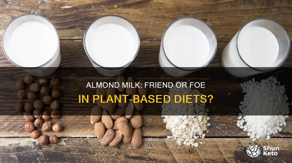 is almond milk allowed on plant based diet