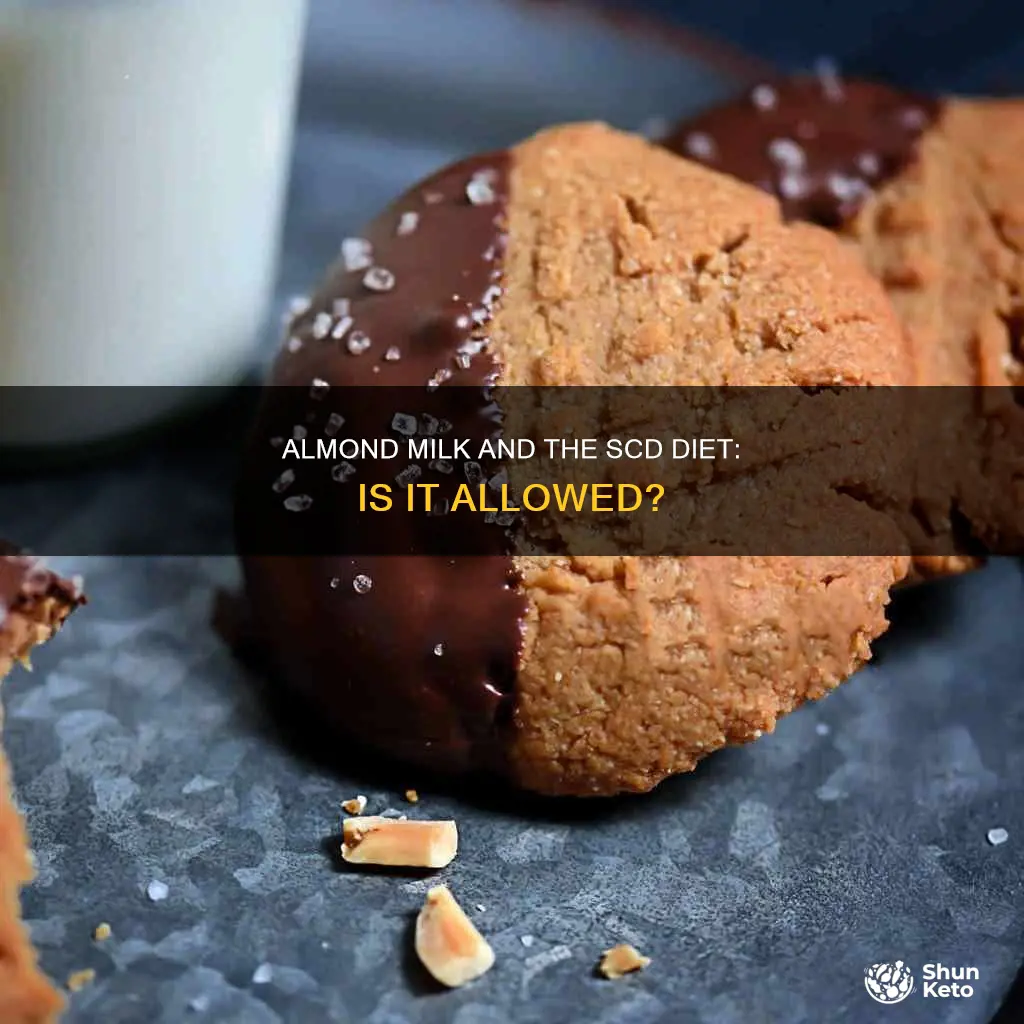 is almond milk ok on scd diet