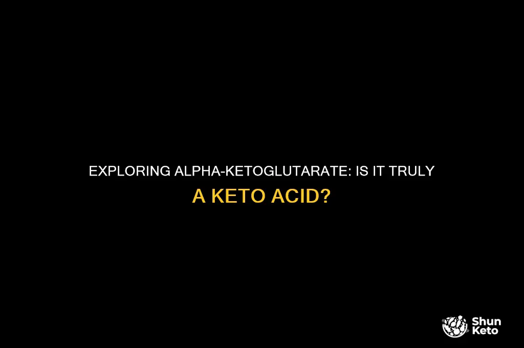 is alpha ketoglutarate a keto acid