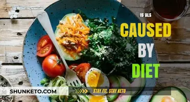 Diet and ALS: Is There a Link?