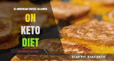 Can You Eat American Cheese on a Keto Diet?