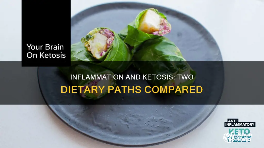 is an anti inflammatory diet the same as ketogenic diet