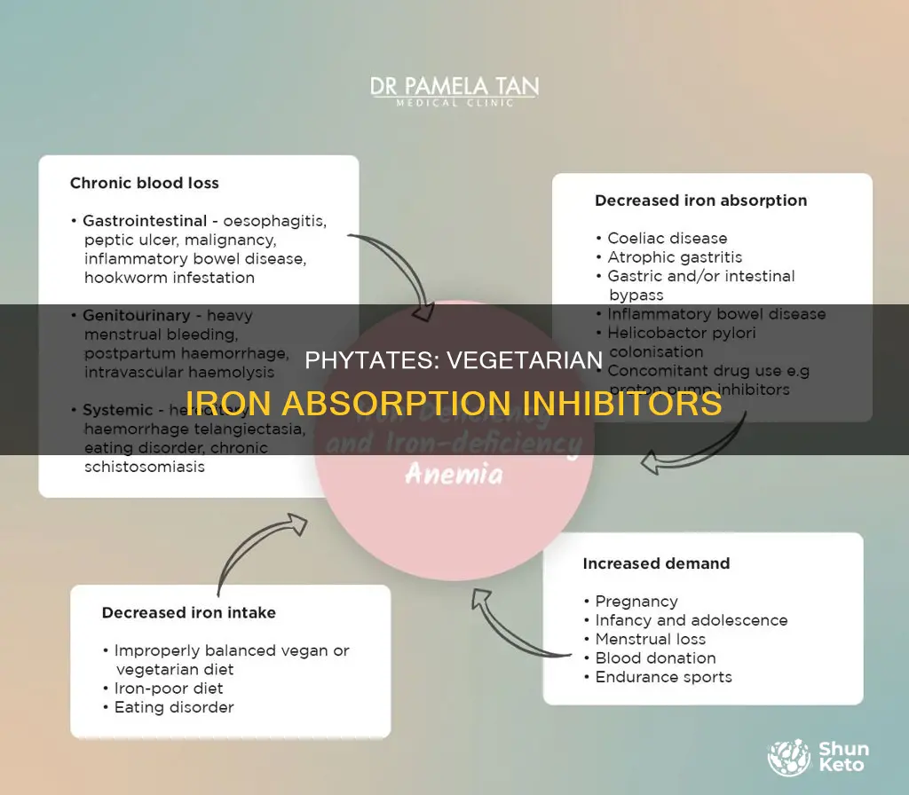 is an important inhibitor of iron absorption in vegetarian diets