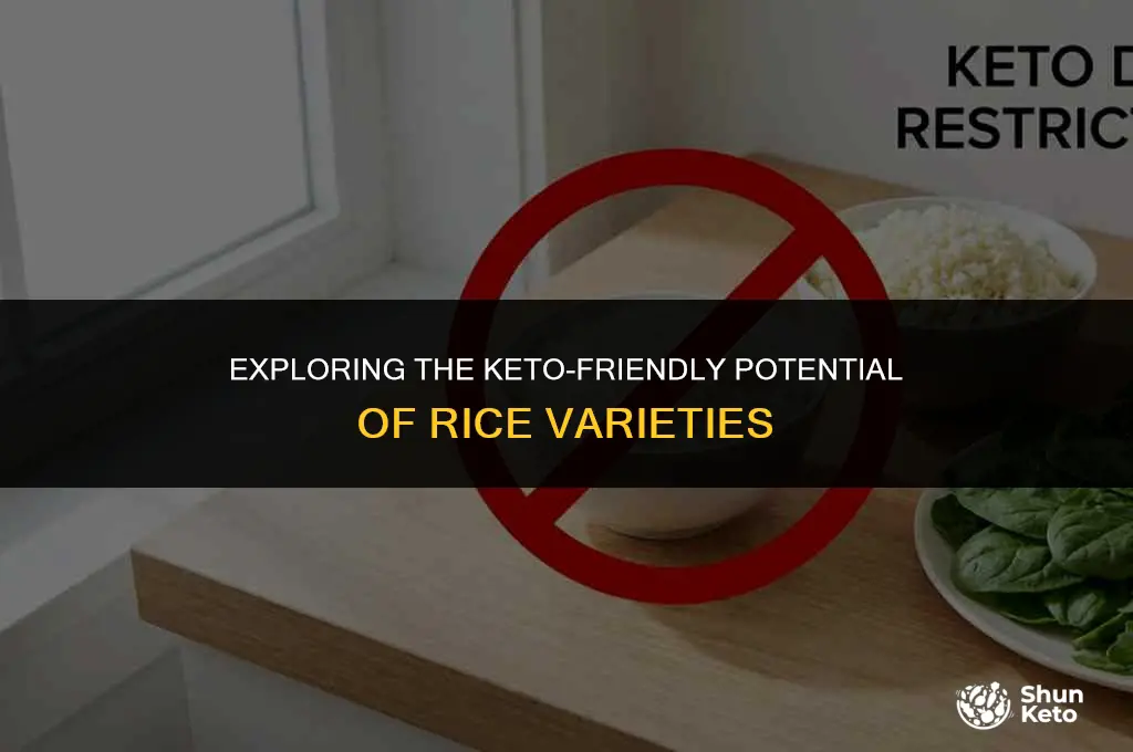 is any rice keto