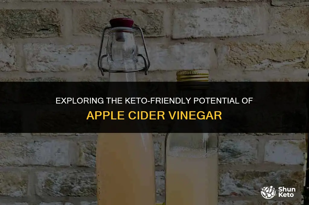is apple cidar vinegar keto