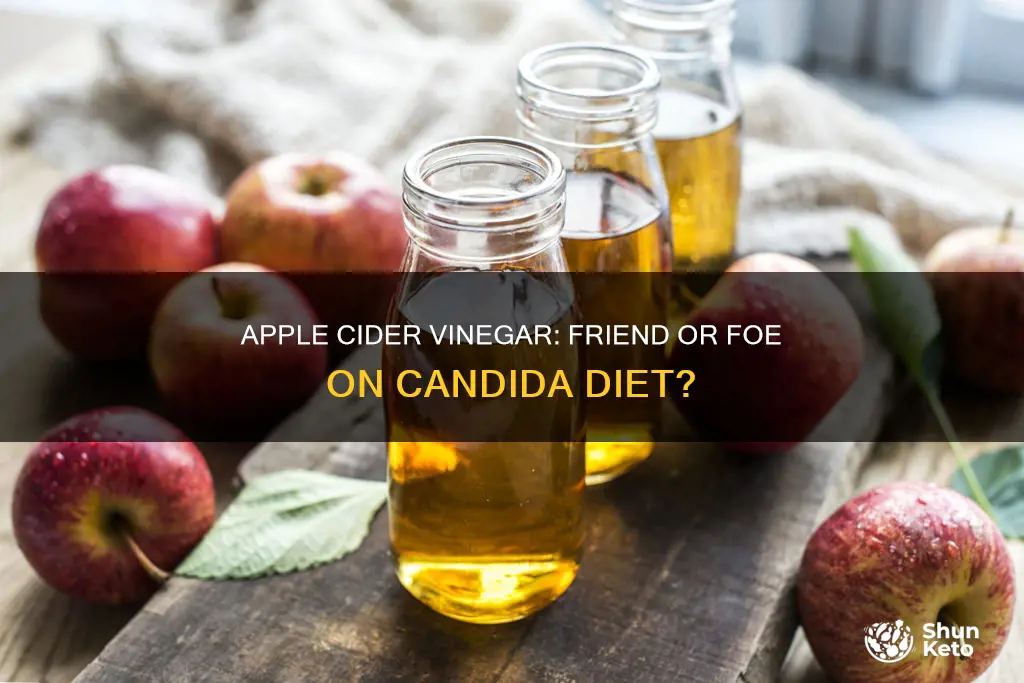 is apple cider vinegar allowed on candida diet