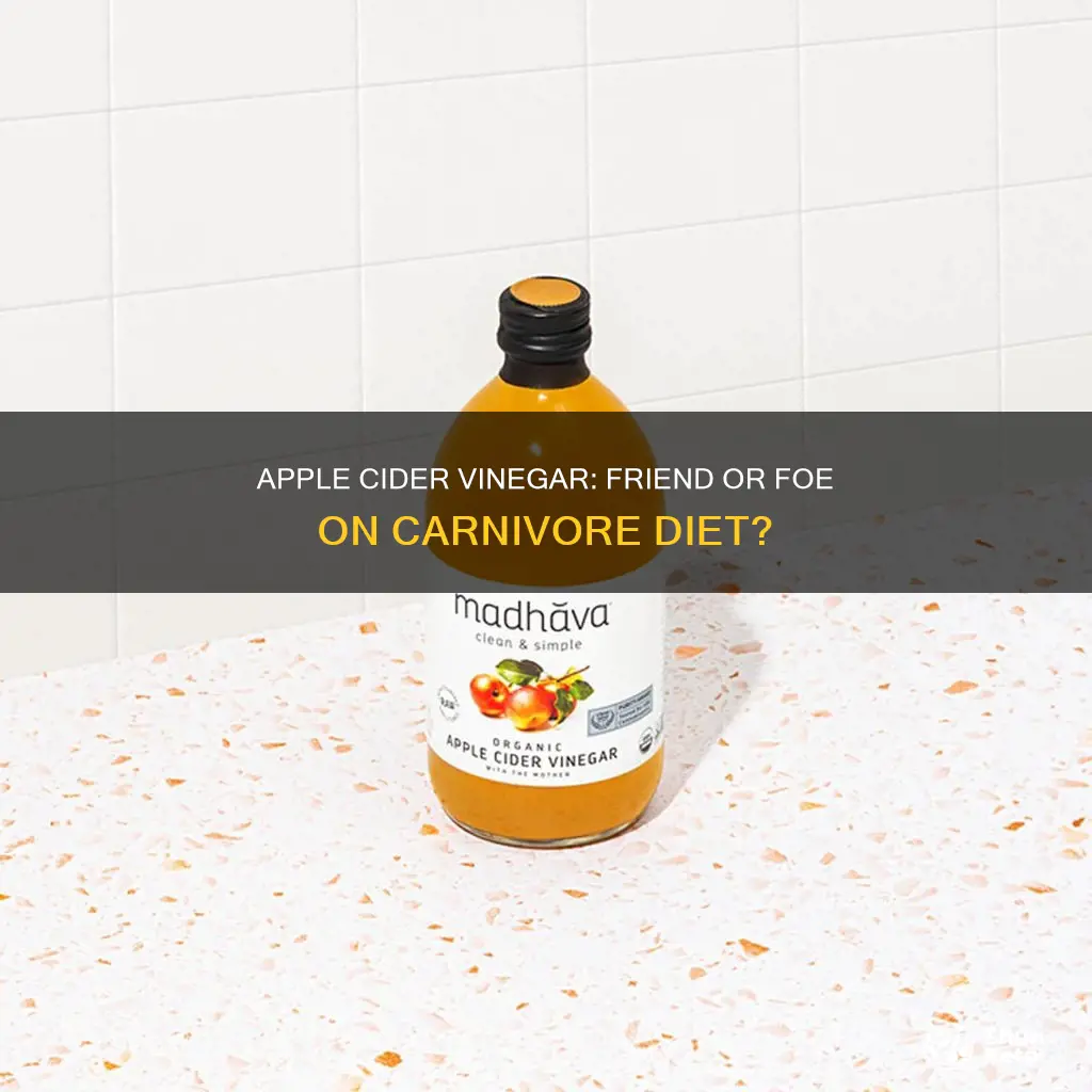 is apple cider vinegar allowed on carnivore diet