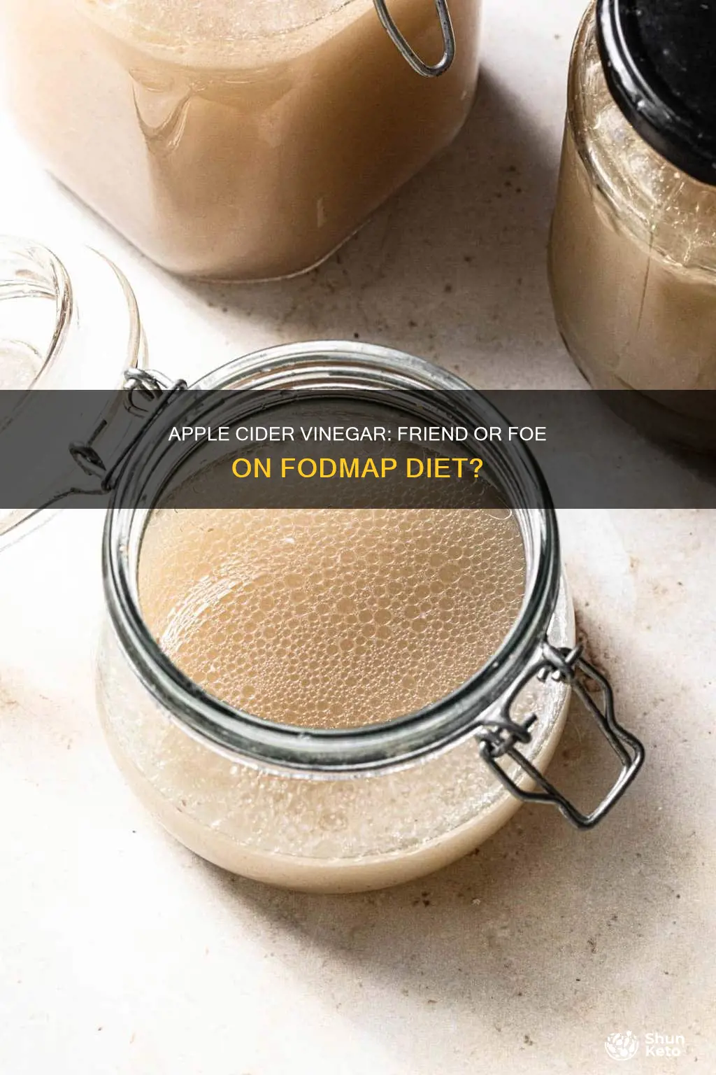 is apple cider vinegar allowed on fodmap diet