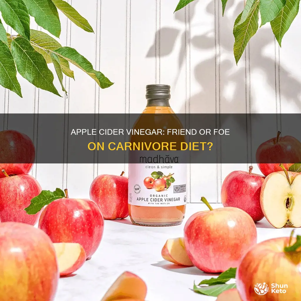 is apple cider vinegar ok on carnivore diet