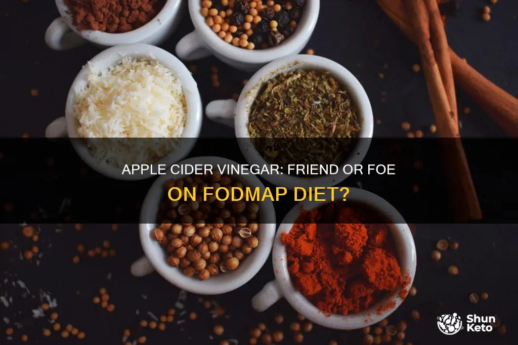 is apple cider vinegar ok on fodmap diet